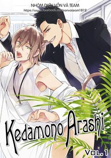 kedamono-arashi-.jpg